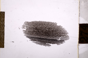 Plane Polarized, E10873