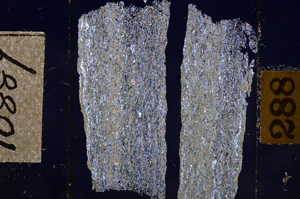 Cross Polarized, E10887