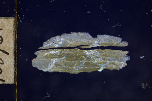 Cross Polarized, E10896