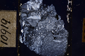 Cross Polarized, E10919