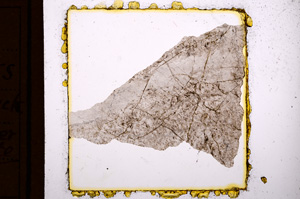 Plane Polarized, E10927