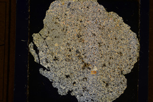 Cross Polarized, E10943