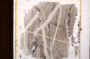 Plane Polarized, E10944