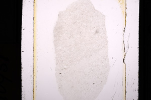 Plane Polarized, E10951