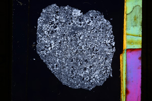 Cross Polarized, E10958
