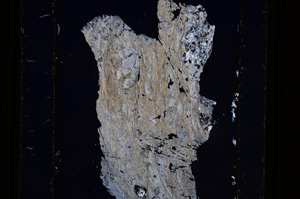 Cross Polarized, E10962
