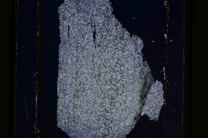 Cross Polarized, E10963