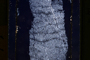 Cross Polarized, E10969