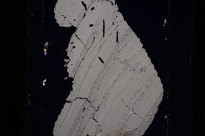 Cross Polarized, E10976
