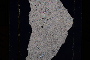 Cross Polarized, E10977
