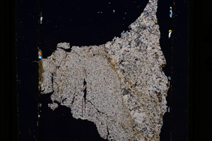 Cross Polarized, E10980