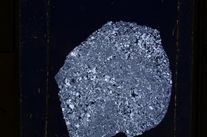 Cross Polarized, E10983