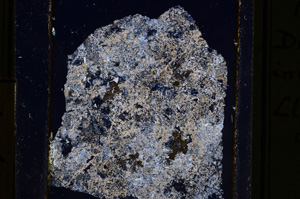 Cross Polarized, E10984