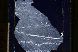 Cross Polarized, E10985