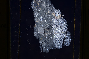 Cross Polarized, E10989