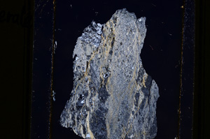 Cross Polarized, E10993
