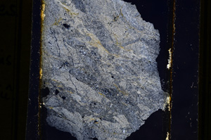 Cross Polarized, E11058