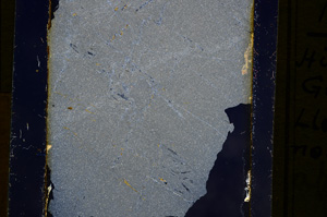 Cross Polarized, E11071