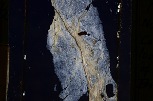 Cross Polarized, E11075