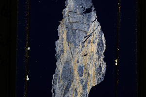 Cross Polarized, E11073
