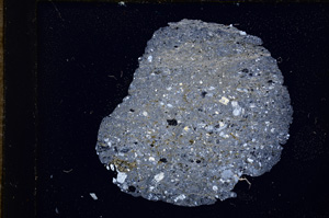 Cross Polarized, E11130