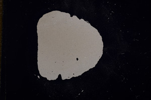 Cross Polarized, E11139