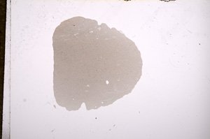 Plane Polarized, E11139