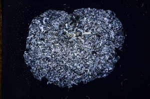 Cross Polarized, E11227