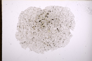 Plane Polarized, E11227