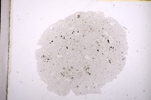 Plane Polarized, E11228