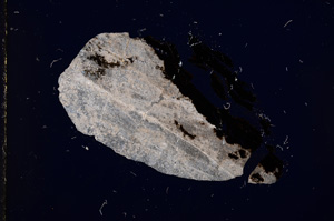 Cross Polarized, E11244