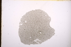 Plane Polarized, E11311