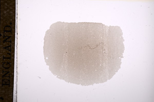 Plane Polarized, E11357