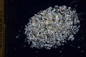 Cross Polarized, E11364