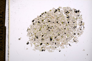 Plane Polarized, E11364