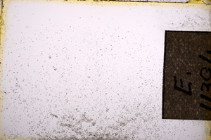 Plane Polarized, E11394