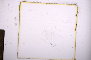 Plane Polarized, E11395