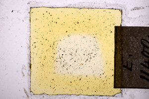 Plane Polarized, E11400