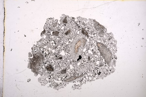 Plane Polarized, E11470