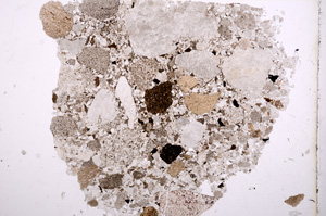 Plane Polarized, E11479