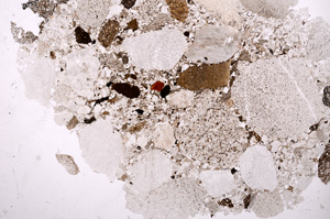 Plane Polarized, E11480