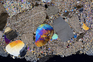 Cross Polarized, E11481