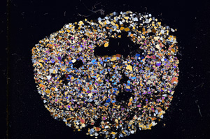 Cross Polarized, E11486