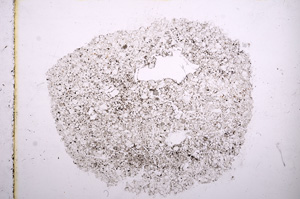 Plane Polarized, E11486