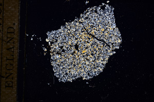 Cross Polarized, E11487