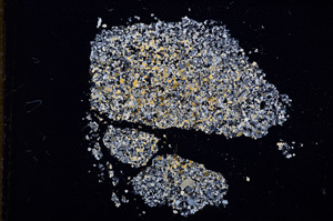 Cross Polarized, E11488