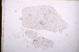 Plane Polarized, E11488