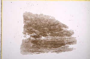 Plane Polarized, E11534