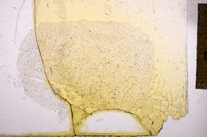 Plane Polarized, E11540