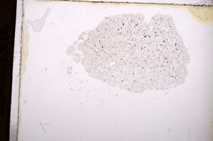 Plane Polarized, E11545